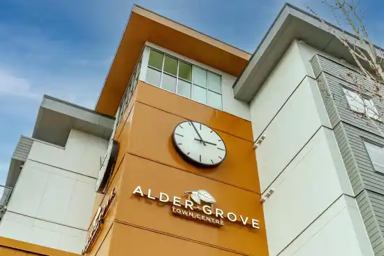 Aldergrove Town Centre - Jackman - photo 3 of 8