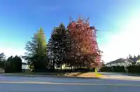 2000 AUSTIN AVENUE - thumbnail 31