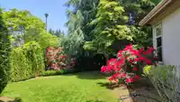 2248 136 STREET - thumbnail 35