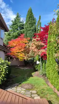 2248 136 STREET - thumbnail 36