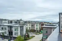 27 20852 78B AVENUE - thumbnail 32