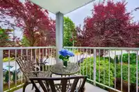 212 5465 201 STREET - thumbnail 20