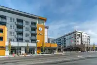 401 27215 272 STREET - thumbnail 4