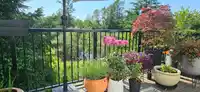 8 7937 206 STREET - thumbnail 17