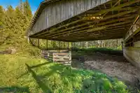 22482 8 AVENUE - thumbnail 27