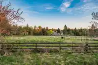 22482 8 AVENUE - thumbnail 28