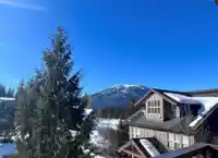 13 4644 BLACKCOMB WAY - thumbnail 21
