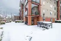 116 5516 198 STREET - thumbnail 22