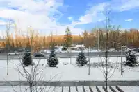 212 7506 199A STREET - thumbnail 17