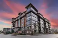 B627 20716 WILLOUGHBY TOWN CENTER DRIVE - thumbnail 20