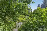 202 3294 MT SEYMOUR PARKWAY - thumbnail 17