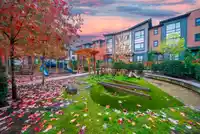 64 20150 81 AVENUE - thumbnail 39
