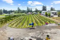 29852 MACLURE ROAD - thumbnail 34