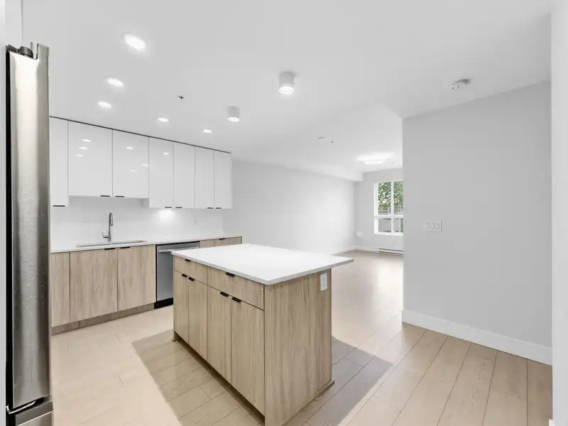 513 11655 FRASER STREET - photo 3 of 34