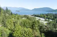 1454 DAVIDSON ROAD - thumbnail 39