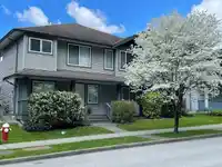 11377 CREEKSIDE STREET - thumbnail 31