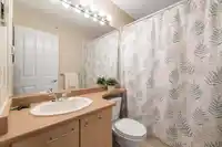 37 20560 66 AVENUE - thumbnail 13