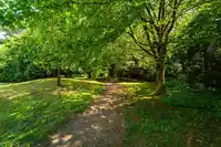 3446 WILLIAM STREET - thumbnail 16