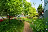 3446 WILLIAM STREET - thumbnail 4