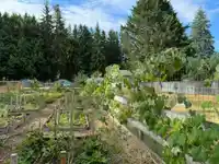5535 250 STREET - thumbnail 38