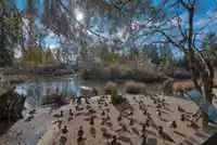 5693 PORPOISE BAY ROAD - thumbnail 28