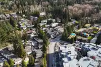 308 SEYMOUR RIVER PLACE - thumbnail 35