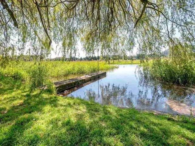 36071 SHORE ROAD - photo 4 of 12