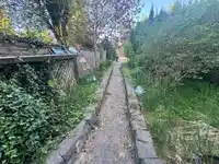 36071 SHORE ROAD - thumbnail 10