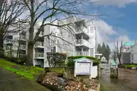302 8420 JELLICOE STREET - thumbnail 20