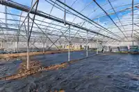 25794 38 AVENUE - thumbnail 18