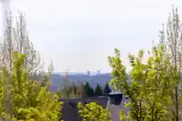 81 2000 PANORAMA DRIVE - thumbnail 25