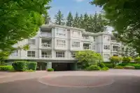 311 9018 208 STREET - thumbnail 1