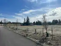 33168 TUNBRIDGE AVENUE - thumbnail 2