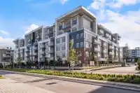 521 7936 206 STREET - thumbnail 1