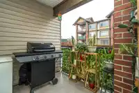 243 5660 201A STREET - thumbnail 14