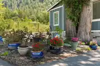 60 53480 BRIDAL FALLS ROAD - thumbnail 30