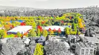 3383 VICTORIA DRIVE - thumbnail 39