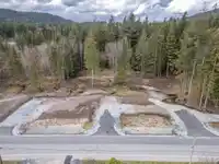 12191 ROLLEY LAKE STREET - thumbnail 14