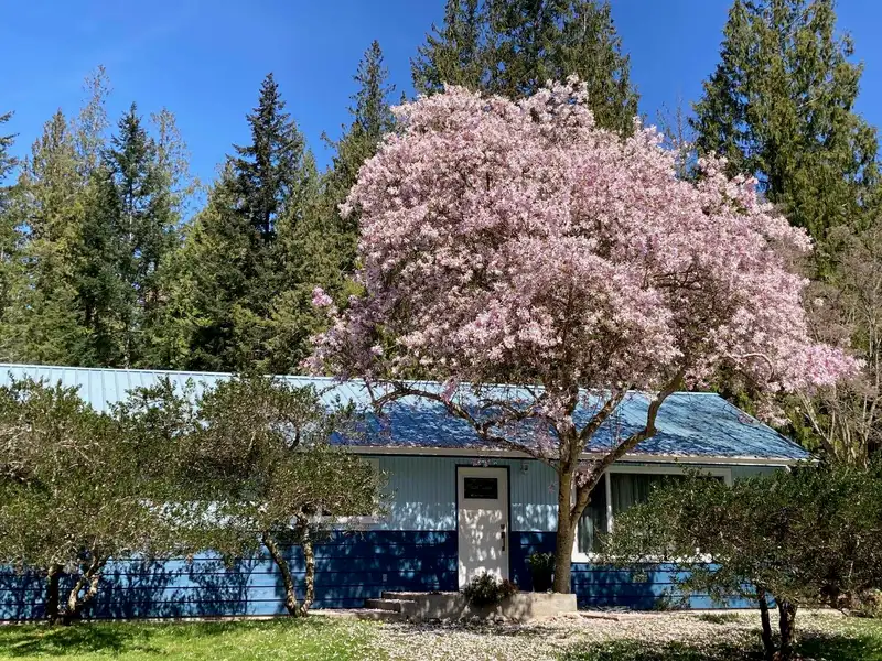 4569 FRANCIS PENINSULA ROAD - photo 1 of 37