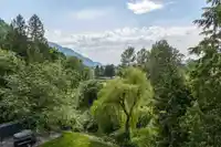 39623 OLD YALE ROAD - thumbnail 17