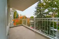 203 20228 54 AVENUE - thumbnail 36