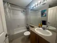 25 20875 80 AVENUE - thumbnail 11