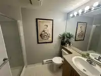 25 20875 80 AVENUE - thumbnail 15