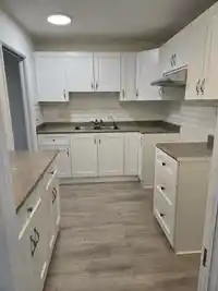 404 1437 FOSTER STREET - thumbnail 2
