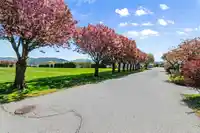 13 41168 LOUGHEED HIGHWAY - thumbnail 39