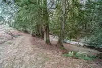 3870 216 STREET - thumbnail 33