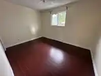 11437 KINGCOME AVENUE - thumbnail 13