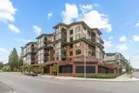 605 20376 86 AVENUE - thumbnail 1