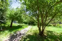 370 MAPLE DRIVE - thumbnail 22