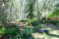 370 MAPLE DRIVE - thumbnail 37